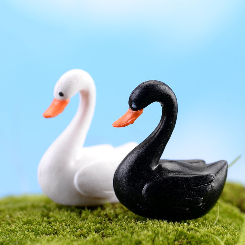 Hl Khu Vườn Trang Trí Hình Vuông / Đen