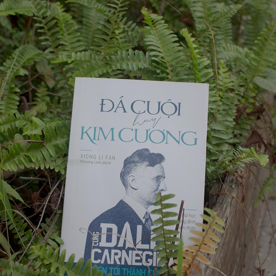 Sách: Cùng Carnegie Tiến Tới Thành Công - Đá Cuội Hay Kim Cương (Những Bài Học Về Tự Khằng Định Bản Thân) - TSKN