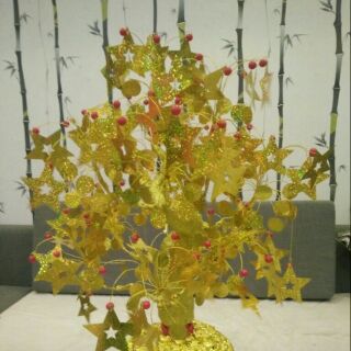 Cây kim tiền (lá ngôi sao + đồng tiền)