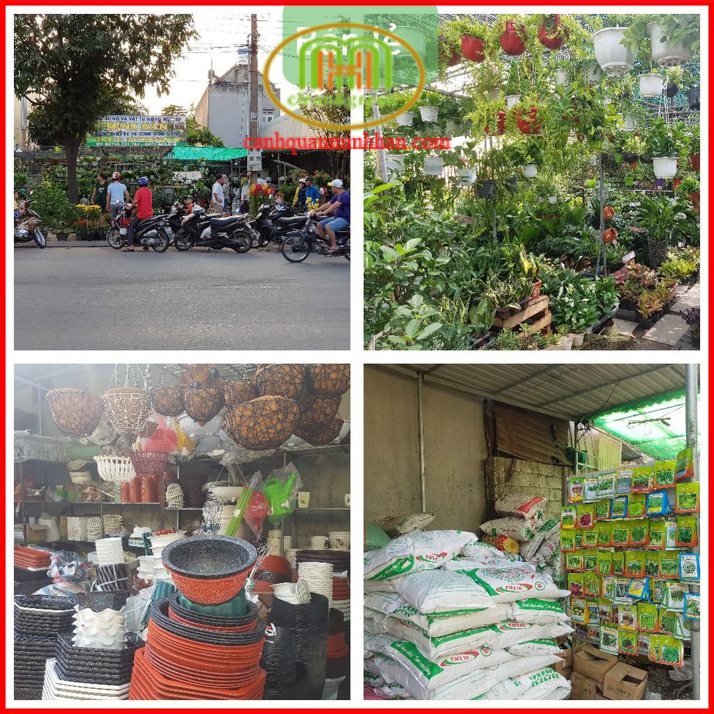 1kg Vôi Bột Tinh Vôi Nông Nghiệp Xử Lý Đất Trồng, cải tạo PH giúp trồng rau tốt hơn, xử lí giá thể cho lan