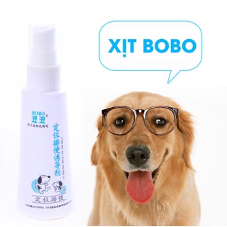 Xịt bobo hướng dẫn thú cưng vệ sinh đúng cách
