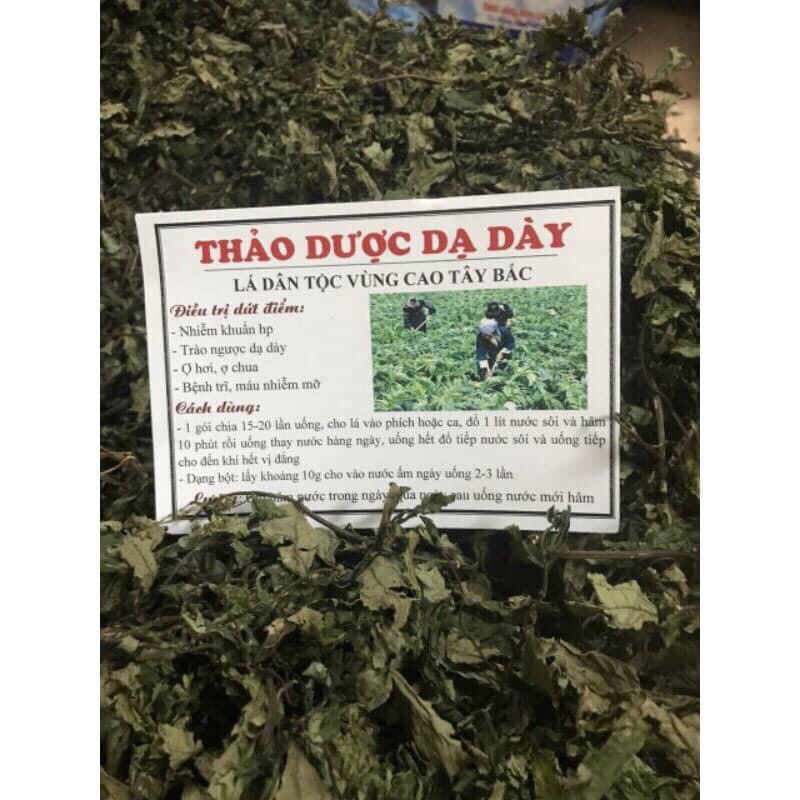 lá đắng ( thảo dược dạ dày)