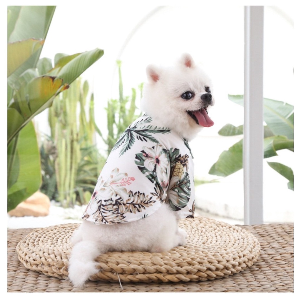 Áo sơ mi phong cách thời trang đi biển cho chó mèo - Hàng chuẩn đẹp như hình