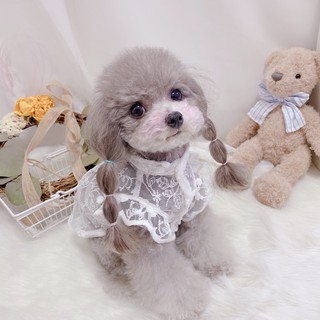 Áo ren xịn qc cho thú cưng