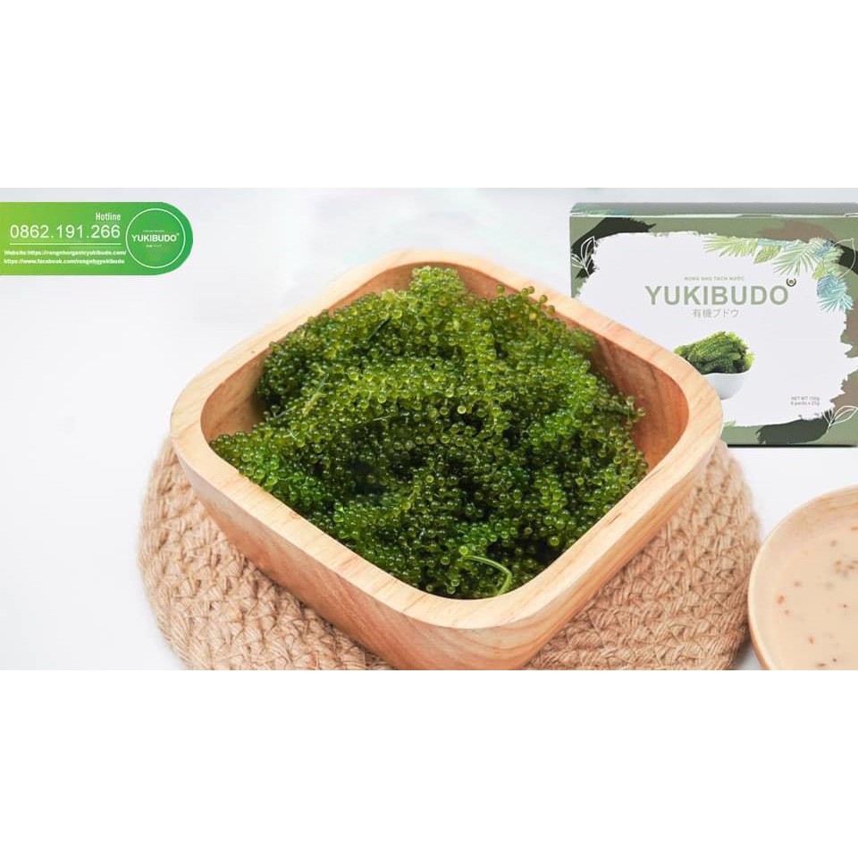 [CHÍNH HÃNG] Rong Nho Tách Nước YUKIBUDO  - Hộp 150g (6gói) - Tặng 2 gói sốt mè rang Siêu ngon | BigBuy360 - bigbuy360.vn