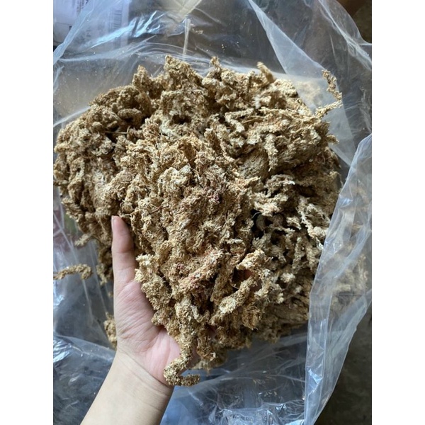 Rêu sâu Chile ( Dớn) trồng Lan hàng loại 1 gói 100g tách ra từ kiện 5kg