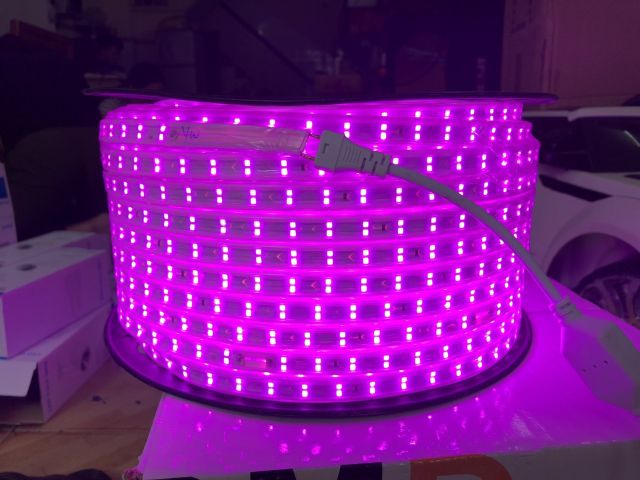 LED DÂY 2835 ánh sáng: vàng, trắng, hồng, xanh dương, xanh lá, đỏ