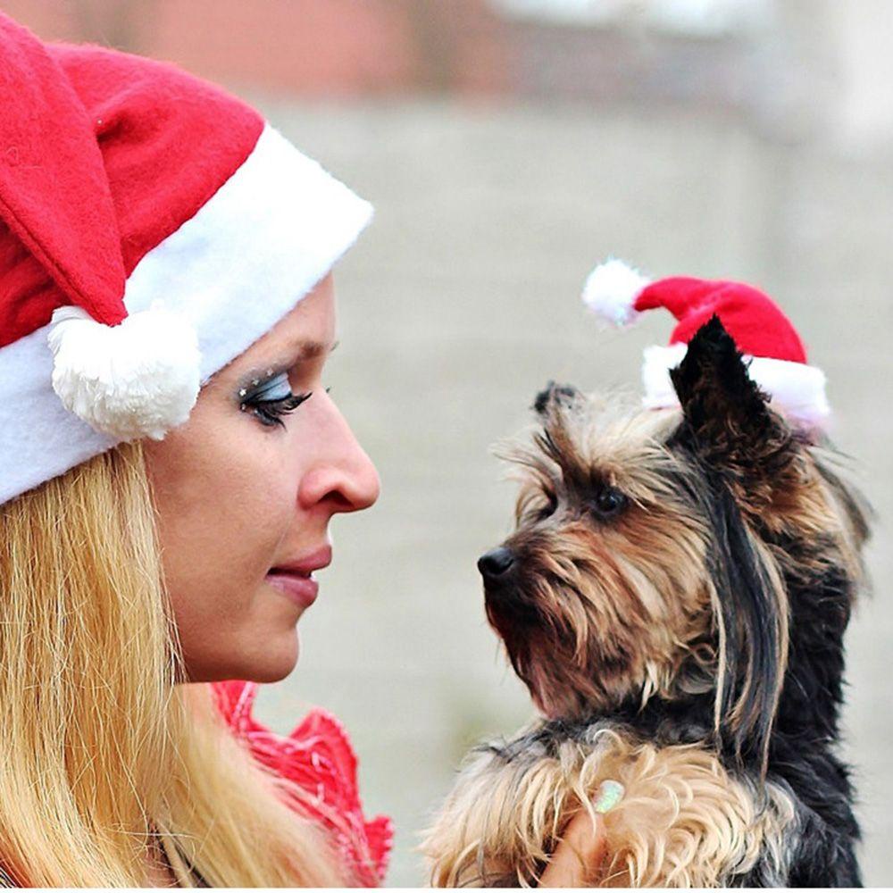 Mũ Đội Hóa Trang Ông Già Noel LAYOR1 Có Thể Điều Chỉnh Kích Cỡ Dành Cho Thú Cưng
