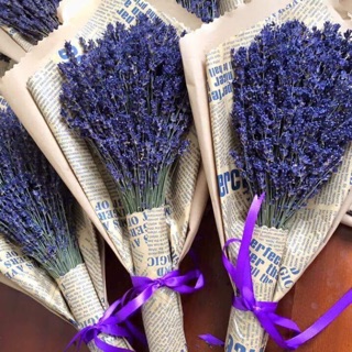Hoa lavender - Hoa Pháp đủ bill