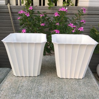 Chậu khía vuông 22*14