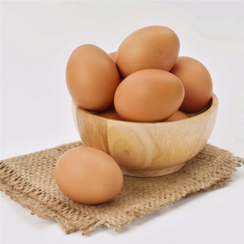 Bộ 6 Đồ Chơi Tương Tác Với Thú Cưng Vui Nhộn