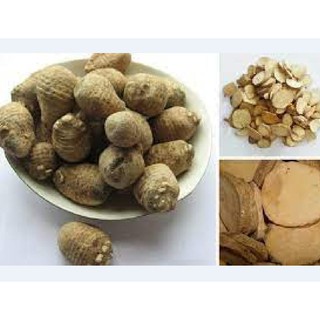 Hạt giống trạch tả - (Cây dược liệu ) 50 hạt -hg10