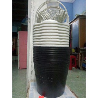 Chậu nhựa đen C8
