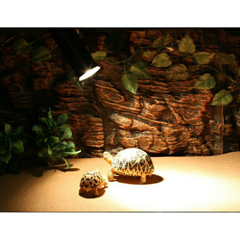 Đèn sưởi UVA UVB 3.0 cho rùa và bò sát vào ban ngày Nomoy chính hãng | Vietpetgardenhcm