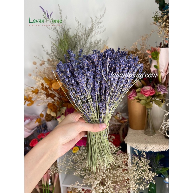 Hoa khô lavender (hoa oải hương) Pháp - Cam kết hoa đúng chất lượng