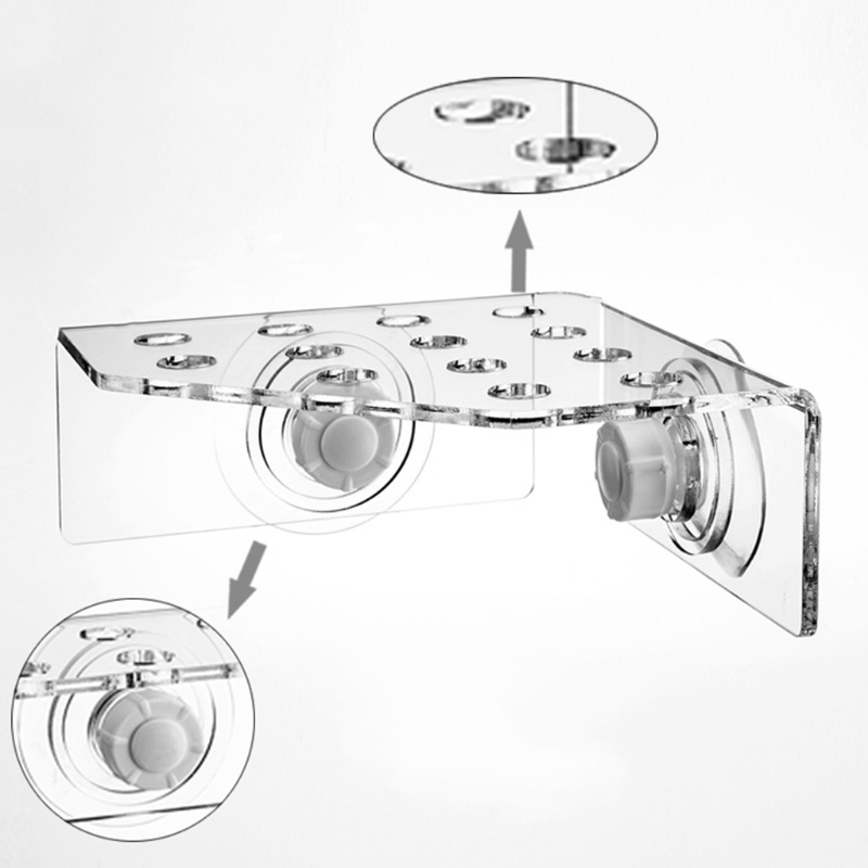 Giá Đỡ Bể Cá Bằng Acrylic San Hô Có Nút Hít 13 Phích Cắm