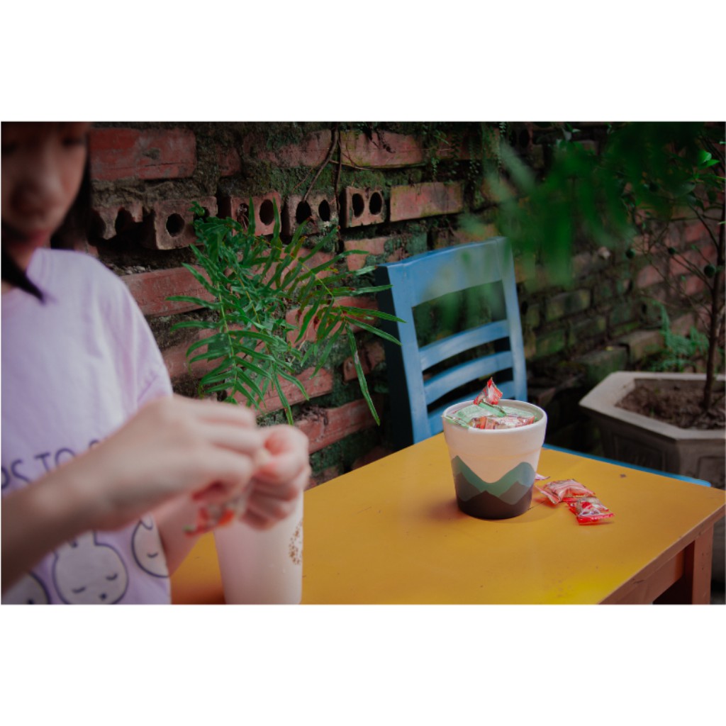 Chậu cây  🔷 Núi Hamalay 🔷 Trồng Sen Đá,Xương Rồng,Cây Cảnh Mini - Chậu Vẽ Tay Thủ Công - Trang