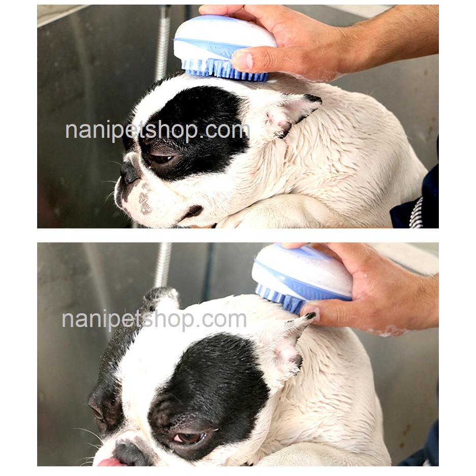 🛀🏻 [NowShip] Bàn chải tắm và massage chó mèo ELITE - có chỗ đựng sữa tắm chó mèo - Nà Ní Pet Shop