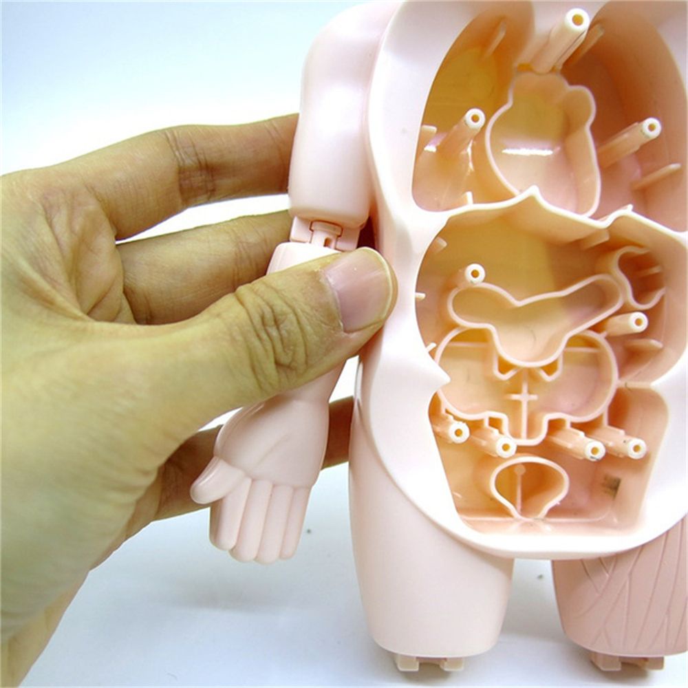 Mô hình đồ chơi lắp ráp cơ thể người 3D giáo dục sớm cho bé