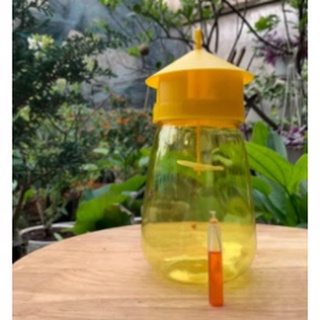 Tuýp 2ml dung dịch dẫn dụ ruồi vàng