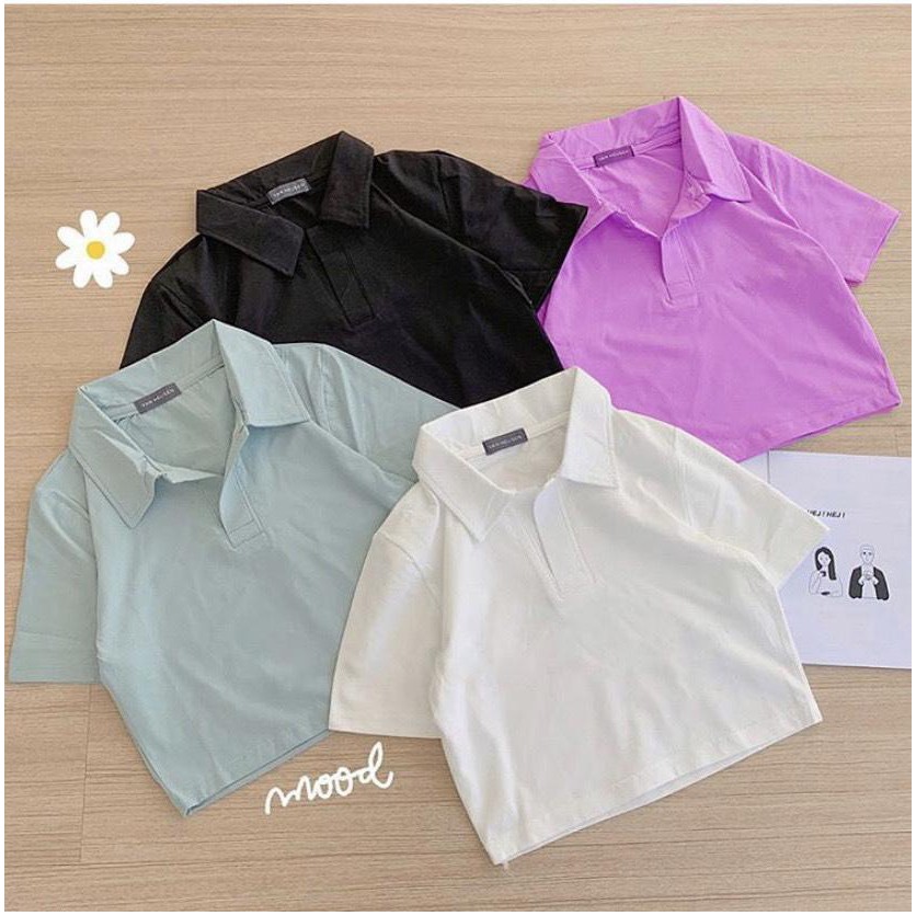 áo polo croptop thun cotton nữ ngắn tay | BigBuy360 - bigbuy360.vn