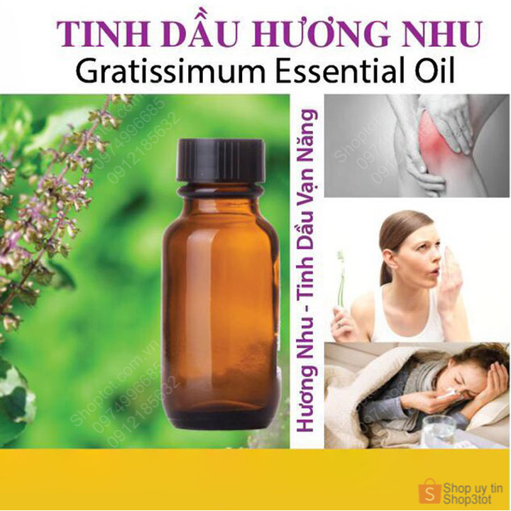 Tinh dầu Hương nhu 100% nguyên chất được chiết xuất từ cây Hương nhu, rất thơm (Hà nội)