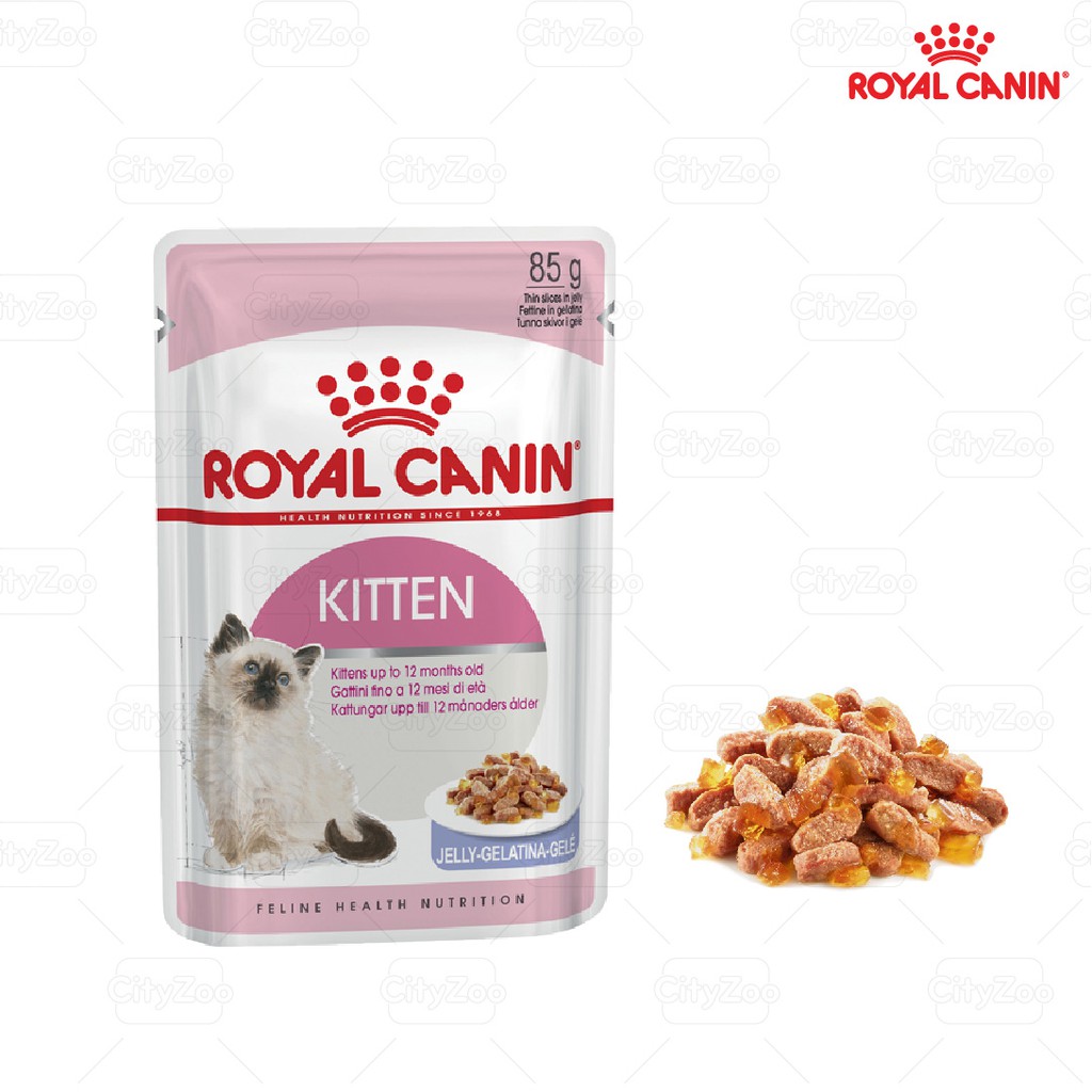 súp pate royal canin kitten dành cho mèo con 85gr (gravy - loaf - jelly )