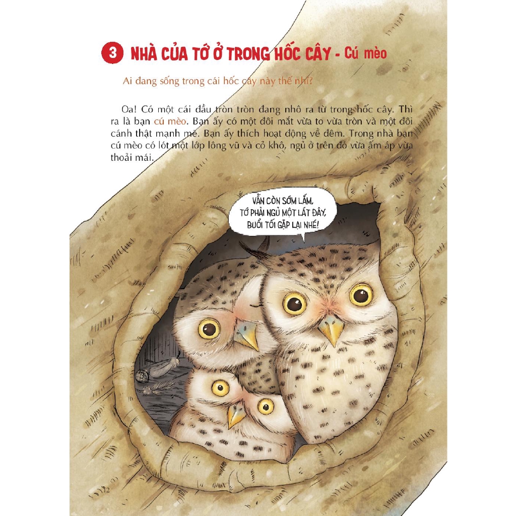 Sách - Bí Mật Muôn Loài - Nhà Ải Nhà Ai?