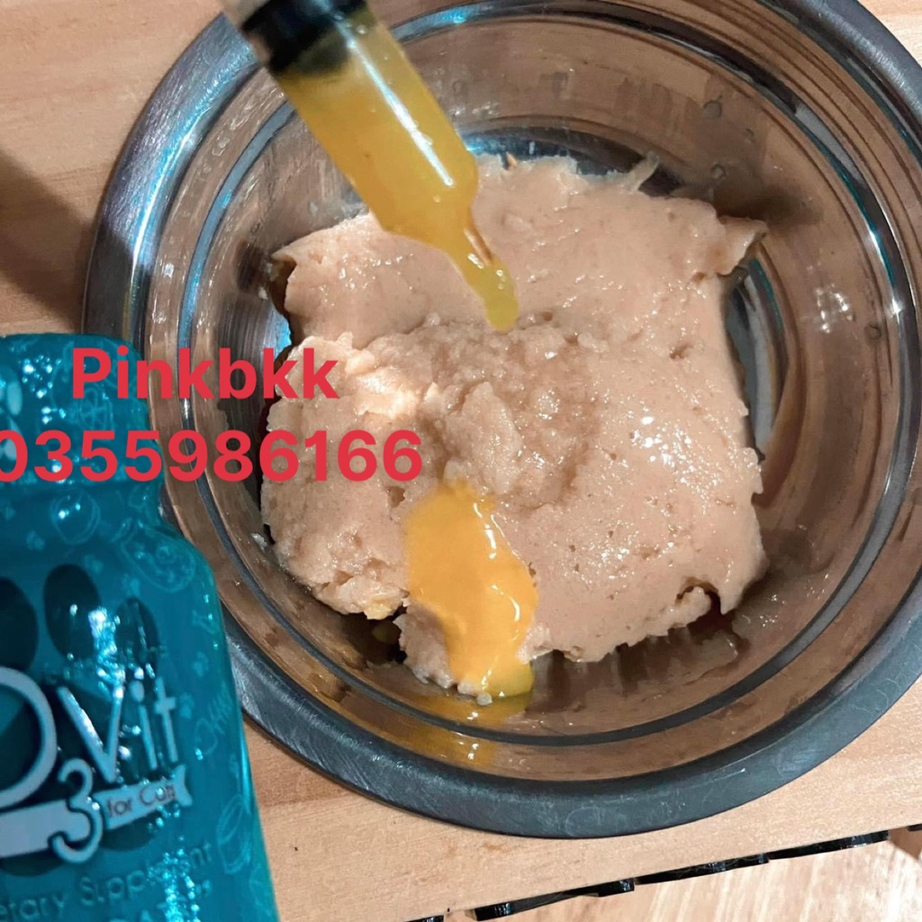 Siro O3Vit - OMEGA 3 VÀ VITAMIN CHO MÈO phát triển toàn diện ⚡NỘI ĐỊA THÁI ⚡nhập trực tiếp Thái Lan không qua trung gian