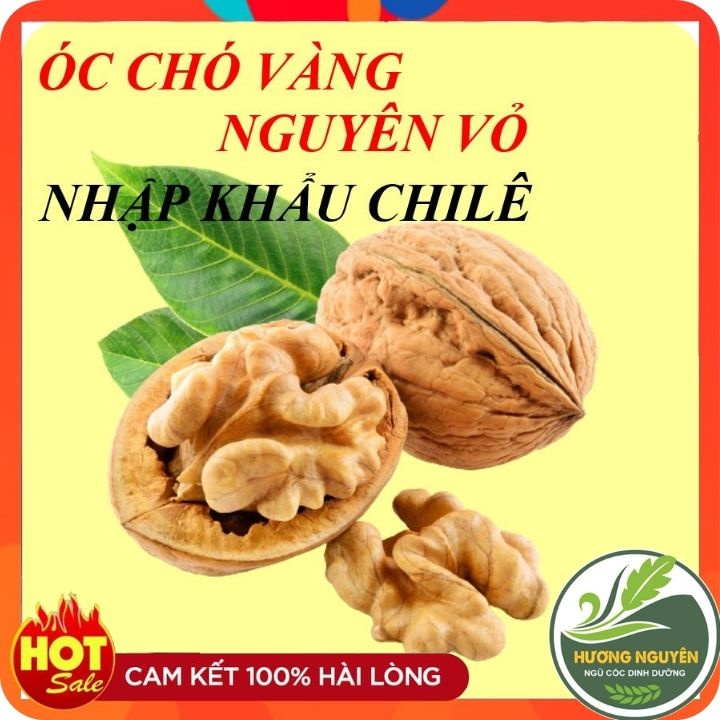 Óc Chó Vàng Nguyên Vỏ, Nhập Khẩu Chile - Hạt Óc Chó Vàng Rang Tay, Dinh Dưỡng Cho Mẹ Bầu Và Bé - Ngũ Cốc HƯƠNG NGUYÊN