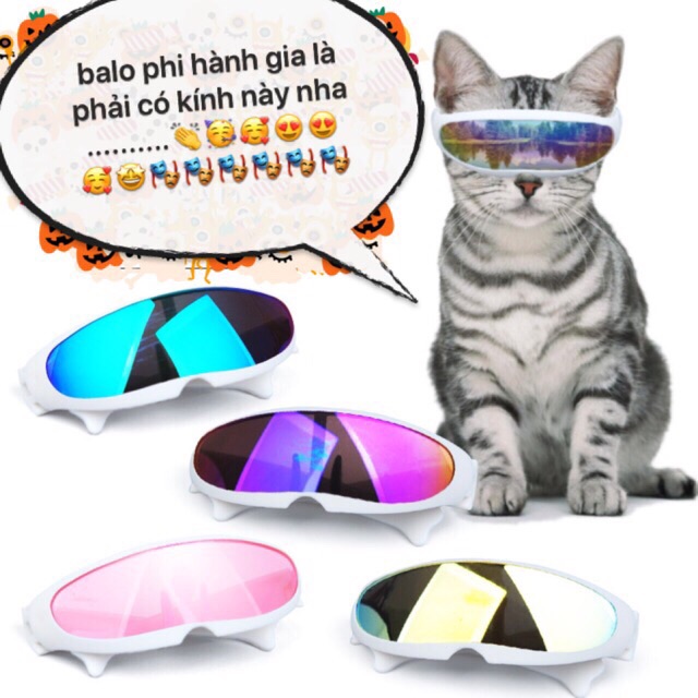 Kính phi hành gia cho chó mèo