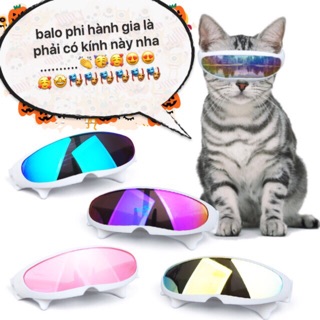 Kính phi hành gia cho chó mèo