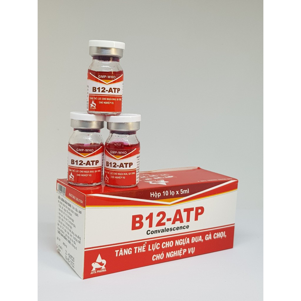 Combo 4 lọ Thuốc tăng B12 ATP