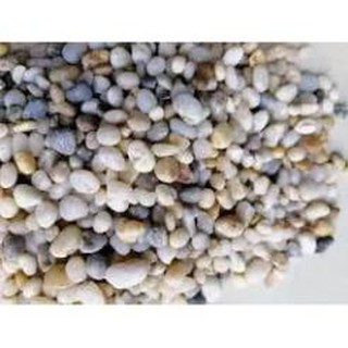 SỎI MUỐI TIÊU TRANG TRÍ BỂ CÁ 1KG