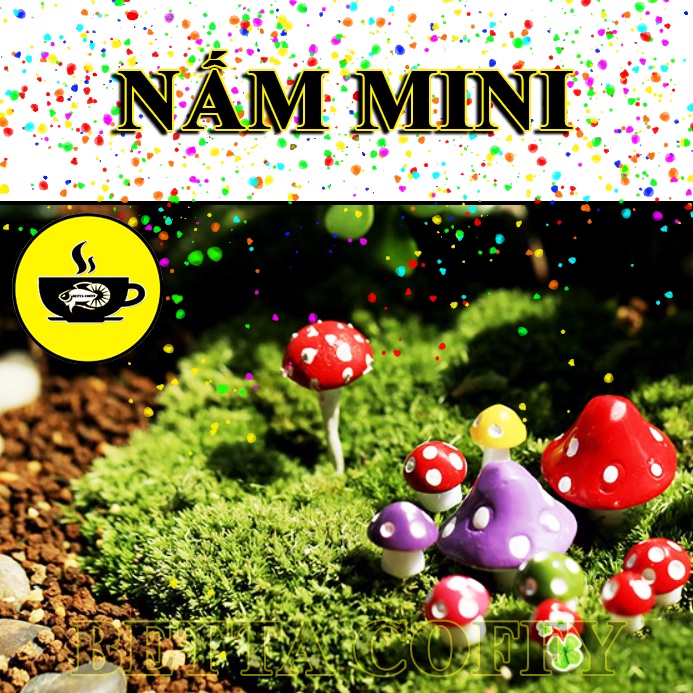 Cây Nấm Mini - trang trí tiểu cảnh sân vườn, terrarium