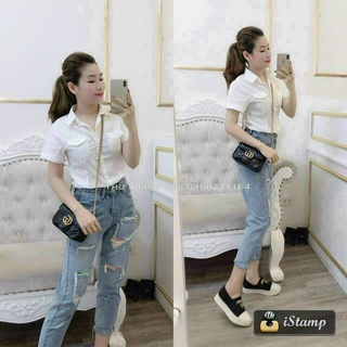 ÁO SƠ MI CÔNG SỞ ( kèm ảnh chụp)