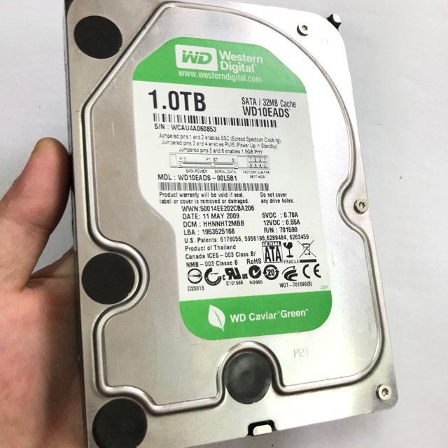 Ổ cứng WD 1TB sức khoẻ 100%