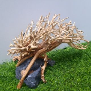 Lũa dáng bay cấy rêu ( D:22cm-R:12cm-C:10cm)