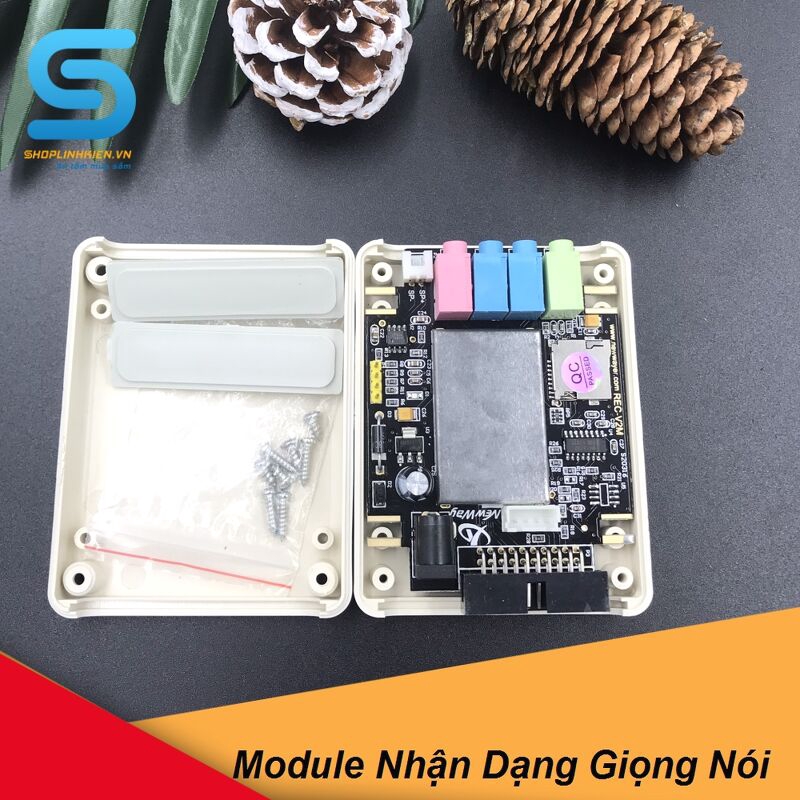 Module Nhận Dạng Giọng Nói REC-V2