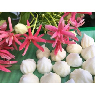 BÁNH SỮA CHUA KHÔ