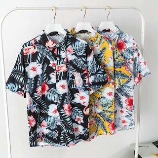 Áo sơ mi in hình chim hồng hạc
