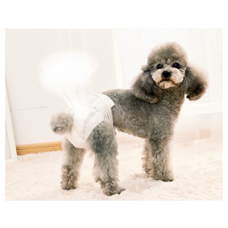 Tã quần chó cái Altimate Diaper