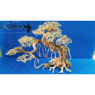 Cây Bonsai cho hồ cá size lớn