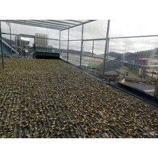 Bông Atiso khô 500gr