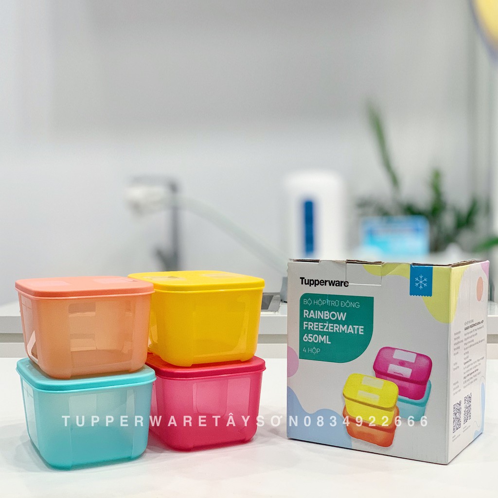 Bộ hộp trữ đông Freezermate Rainbow 4 hộp 650ml Tupperware