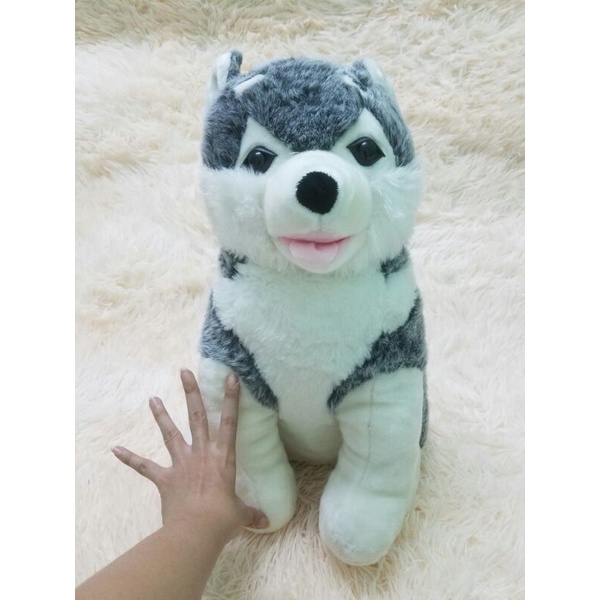 Gấu bông con chó Husky Alaska giống thật