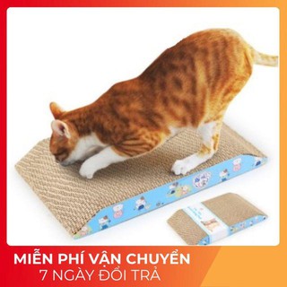 Bàn cào móng cho mèo có kèm canip-Bàn cào móng mèo giúp mèo cào sạch và mòn bớt móng ( Giá siêu tốt)