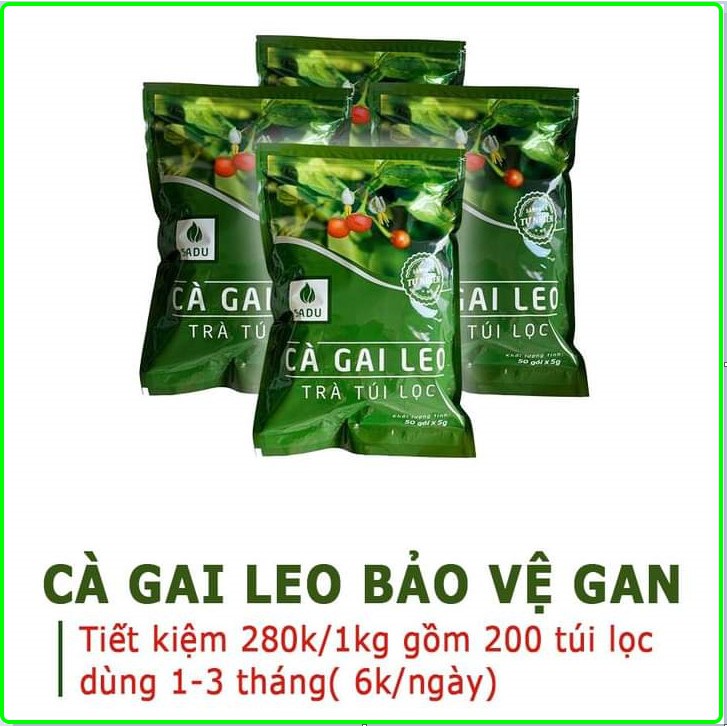 4 bịch trà cà gai leo túi lọc Sadu 250g-1kg
