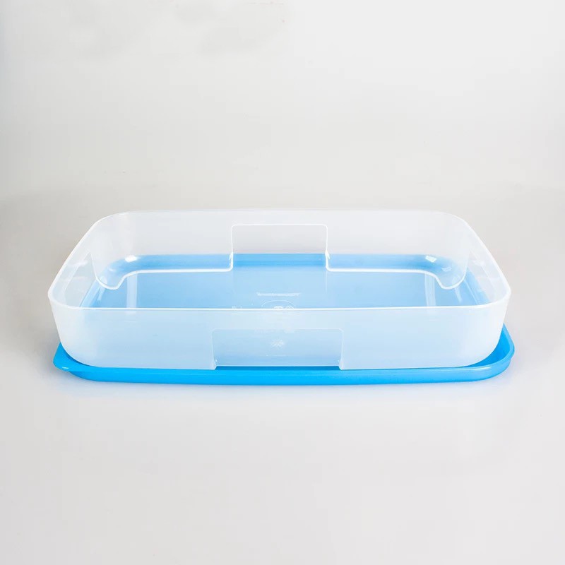 Tupperware Hộp Nhựa Trữ Đông Thức Ăn Trong Tủ Lạnh Tủ Đông Dẹt Hình Chữ Nhật Dung Tích 650ml TU18