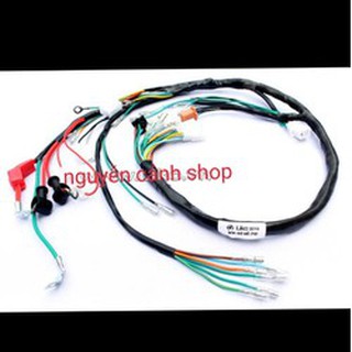 dây điện sườn xe win có đề và không đề liko